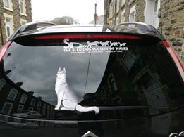 Sled Dog Society of Wales Car Decal (Rectangle) 
Please ask for pricing and sizes